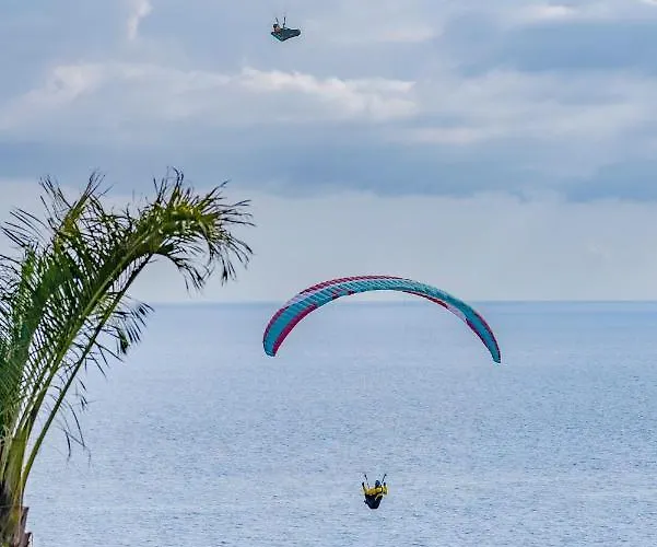 Madeira Palace I By An Island *