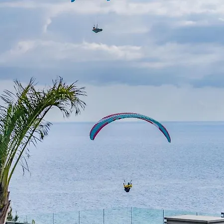 Madeira Palace I By An Island *